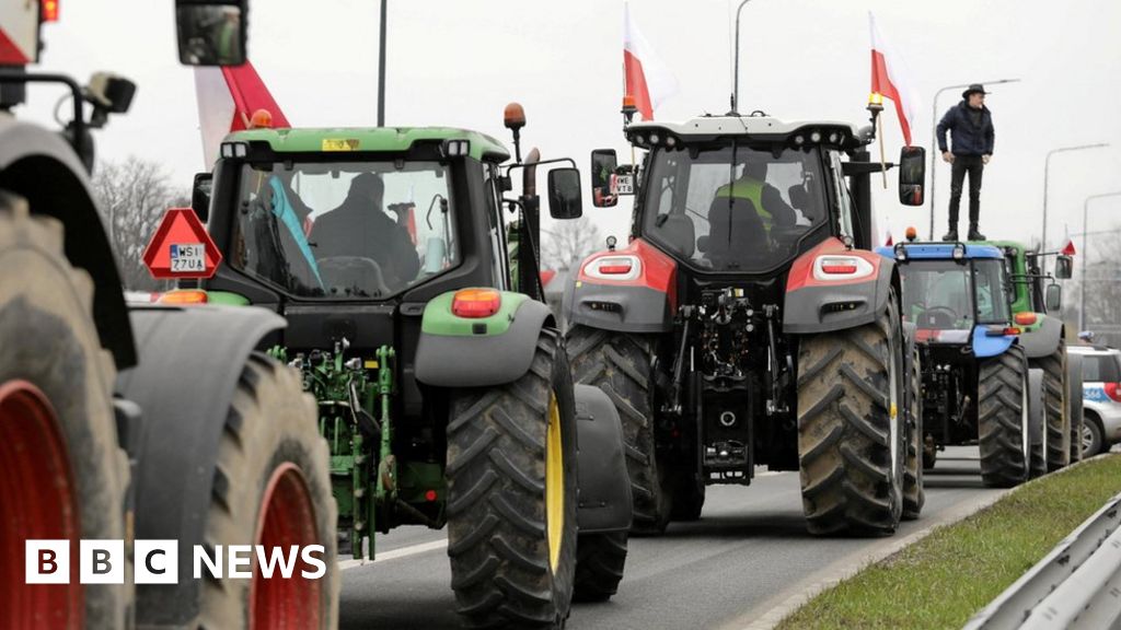 Protestas de los agricultores: la Unión Europea impone restricciones a algunas importaciones ucranianas libres de impuestos
