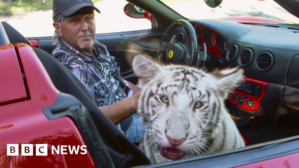 Tiger King star Jeff Lowe sued over 'inhumane treatment' of animals - BBC N