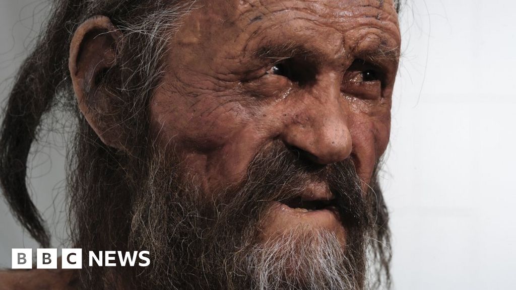 Mosses Expand the Story of Ötzi the Iceman's Final Journey