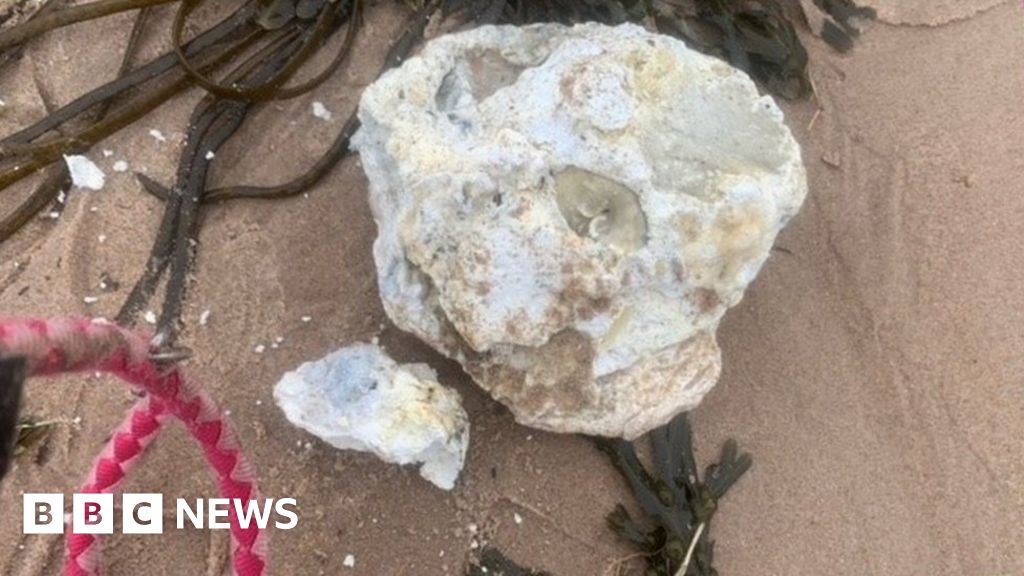 Warning after dog eats palm oil on Northumberland beach 