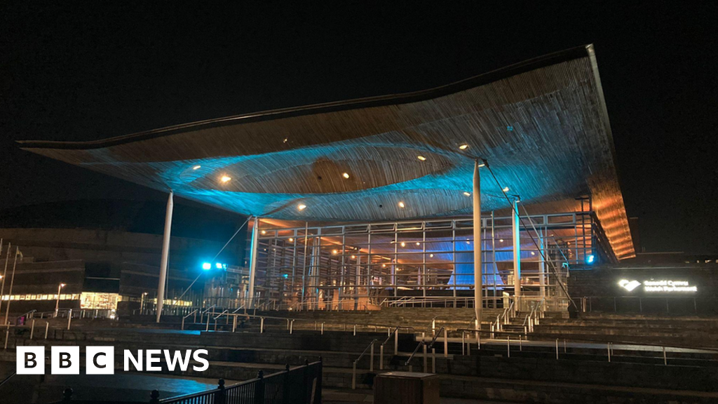 Senedd dimmed lights