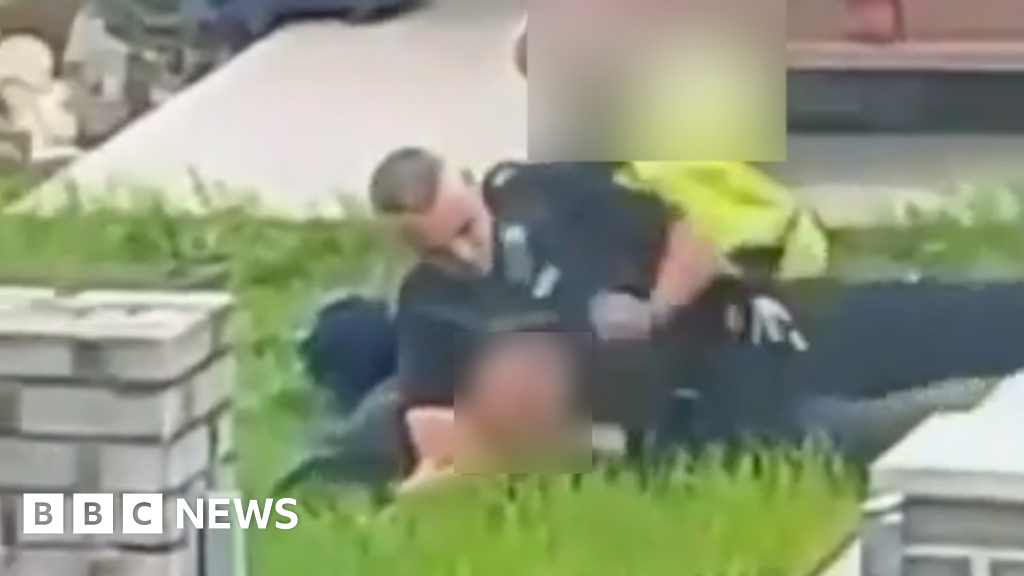 Porthmadog: Probe after police officer filmed punching suspect