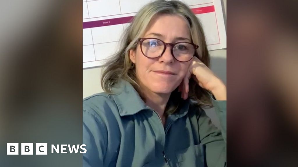 Lockdown diaries 'It's like the novelty has worn off' BBC News