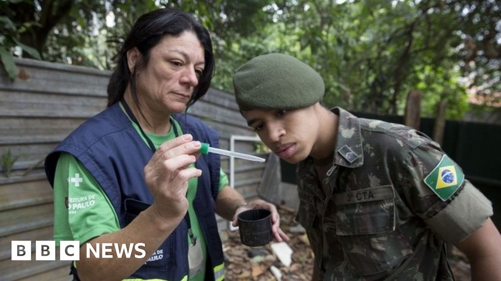 Zika Brazil To Deploy Army In Fight Against Virus Bbc News 