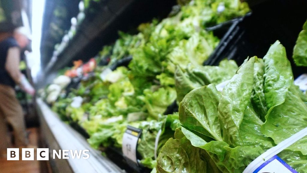 E. coli outbreak Romaine lettuce probed in US and Canada BBC News