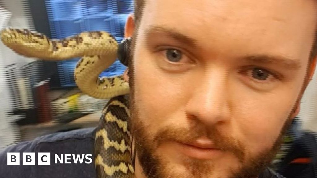 Six-foot python dumped in a Manchester city centre bin rehomed - BBC News