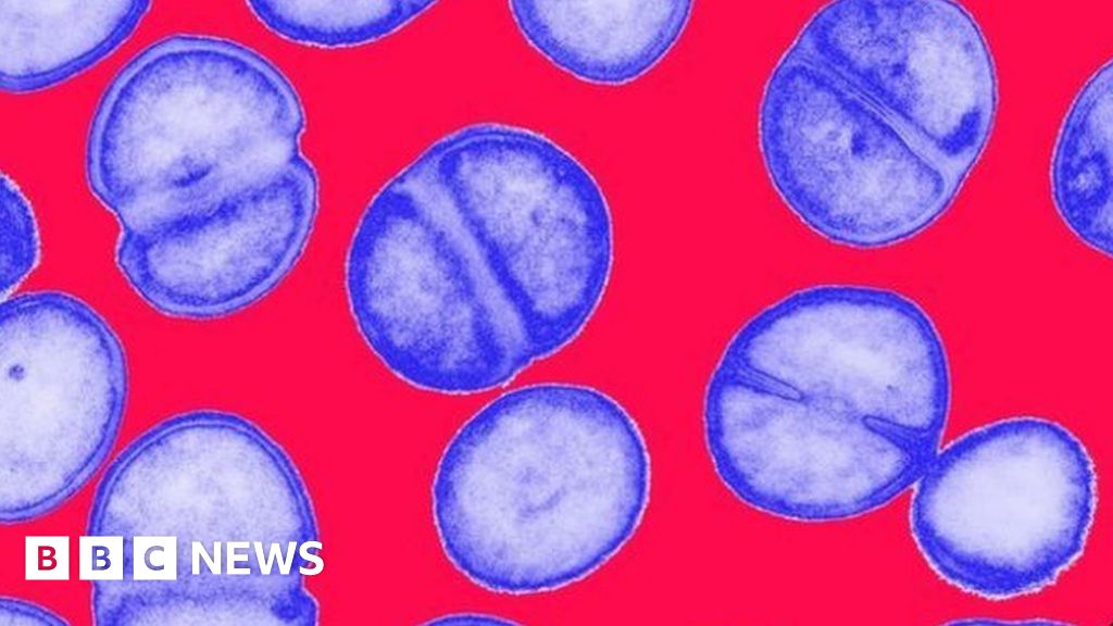 MRSA link to baby's death investigated BBC News