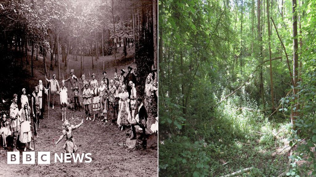 Welwyn Garden City Woodland Theatre Space Idea Needs Compromise