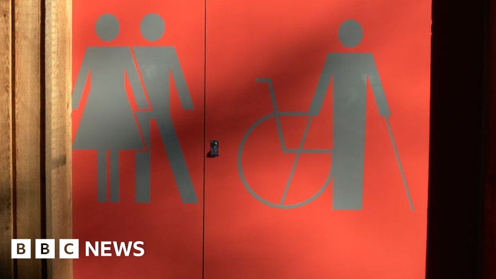 Flintshire could be flush with public toilets BBC News