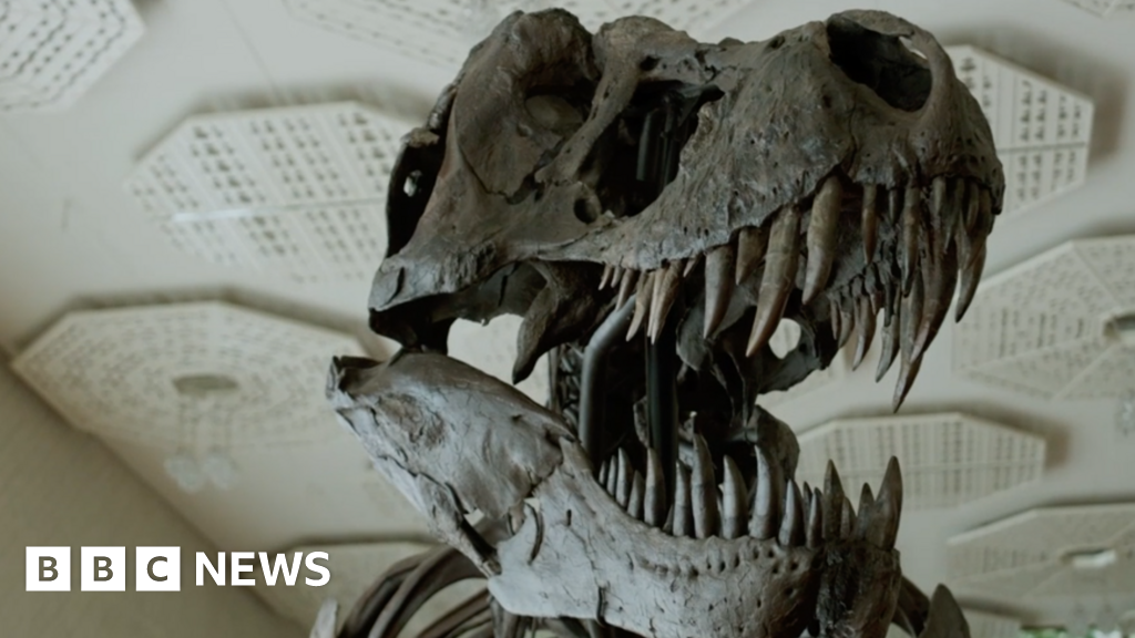 T. rex skeleton sells for more than $6m
