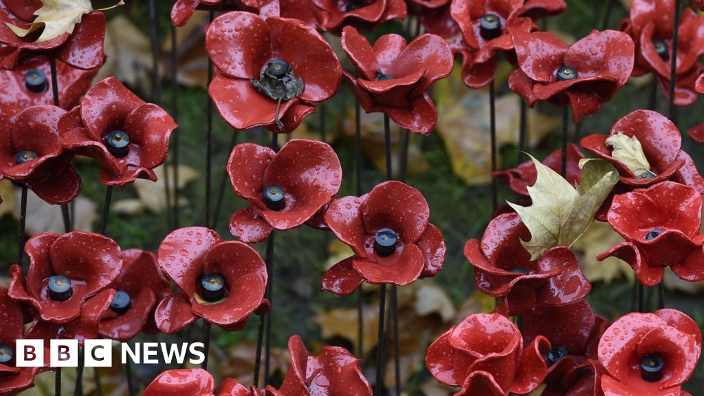 Watch: BBC TV coverage of Armistice Day silence