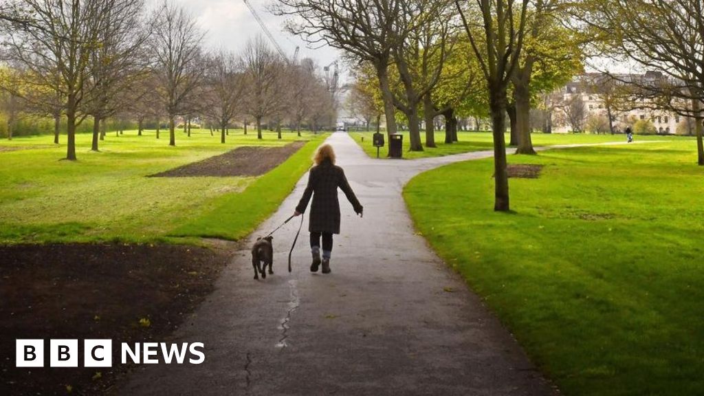 New dog rules agreed for North Northants 
