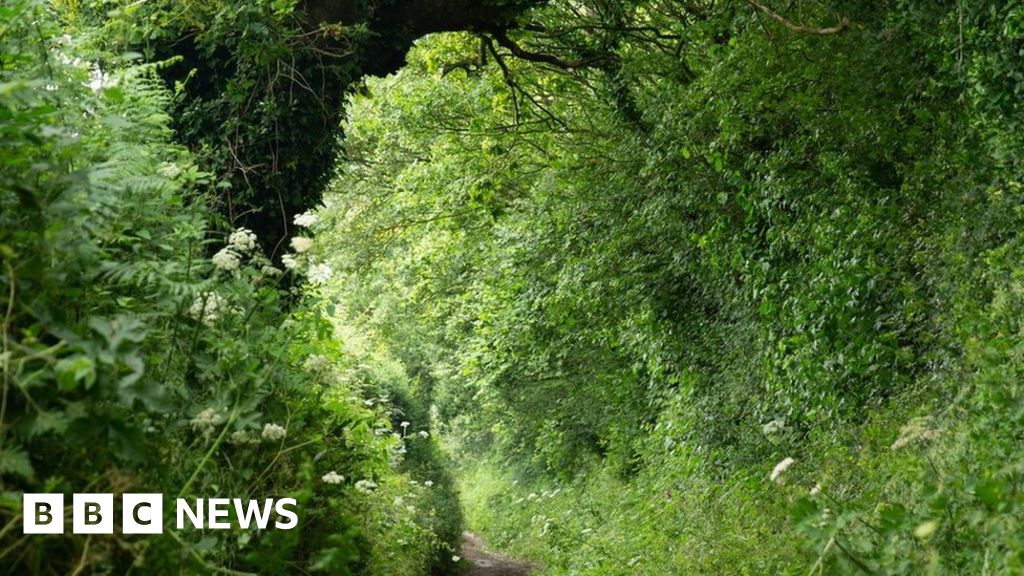 Nature-based farming-subsidies scheme given green light