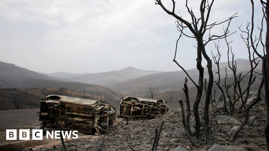 Algeria fires: Locals return to burnt homes