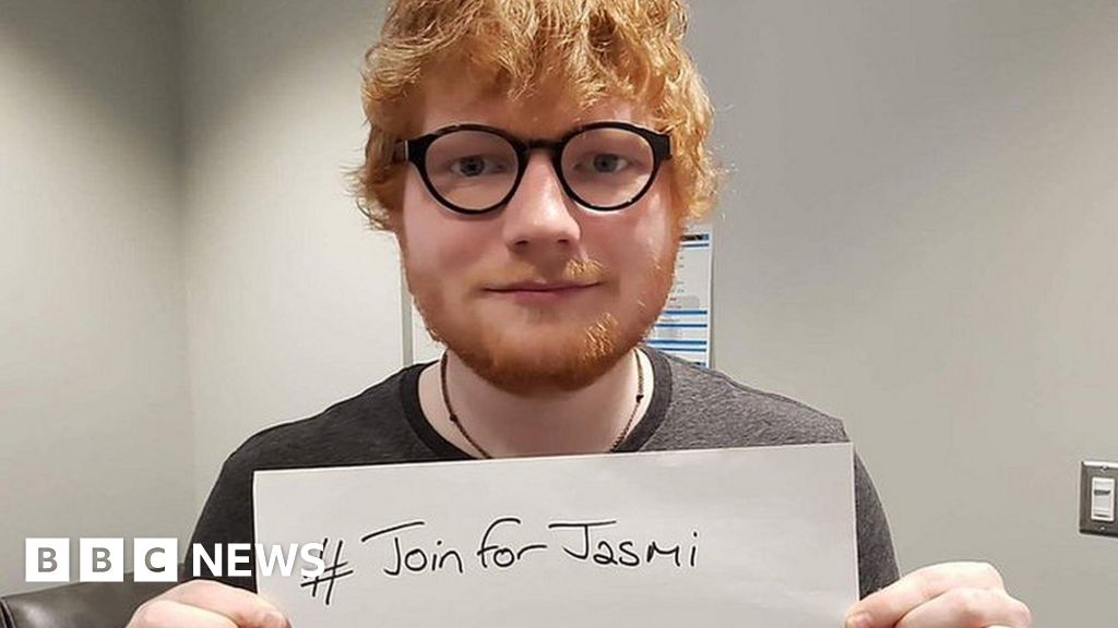 Ed Sheeran appeal girl finds stem cell donor - BBC News