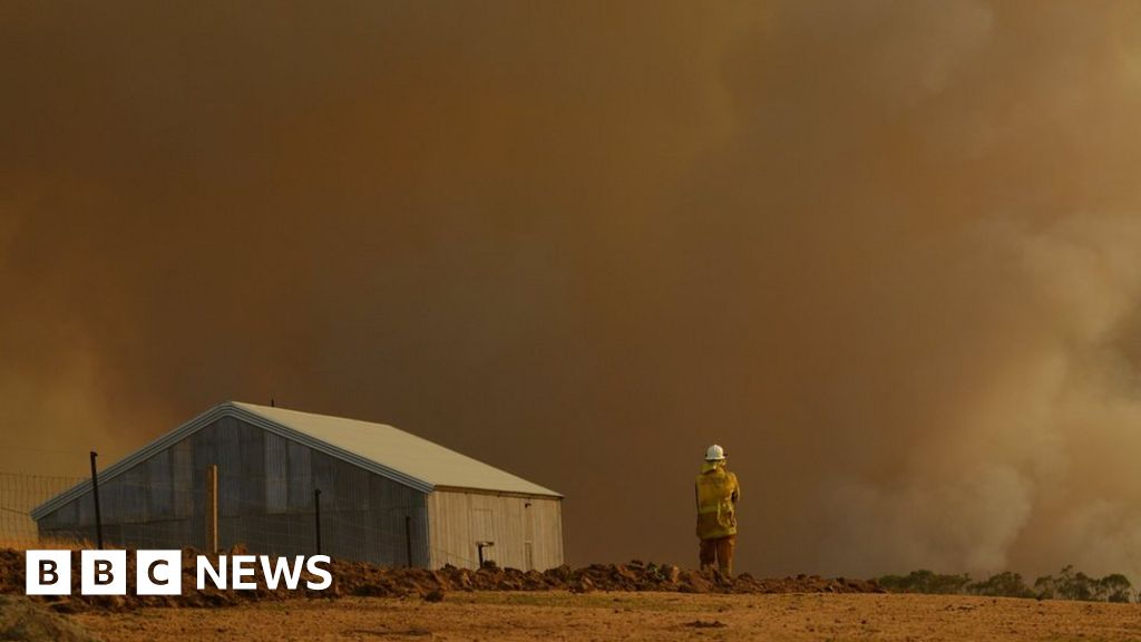Australia fires: NSW inquiry to probe climate change impact - BBC News