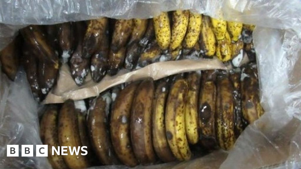 Portsmouth: Three charged over £10m banana box cocaine seizure