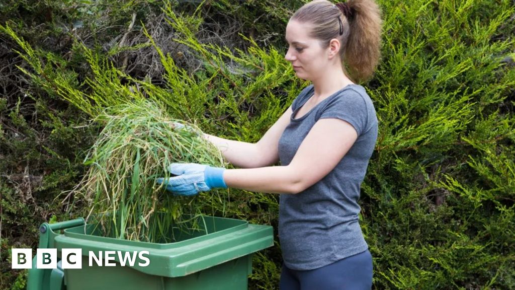 Hertsmere Council bin plans for garden waste collection charge in 2024