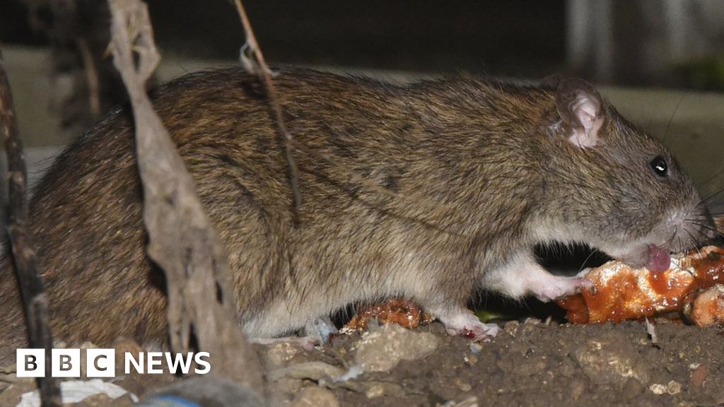 Weekly paper review Rat raid on estate and double stabbing