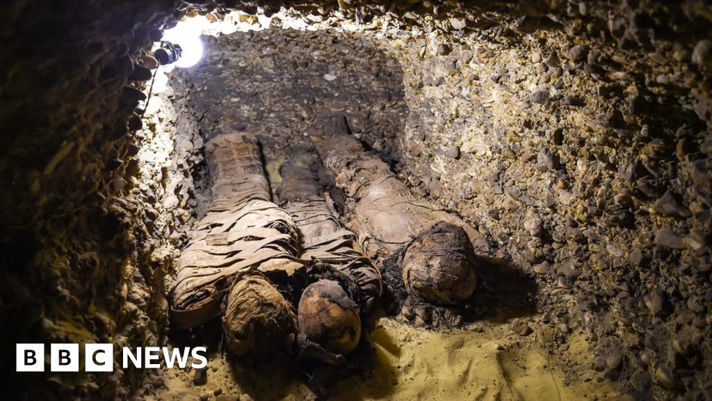 Tomb with 50 mummies found in Egypt