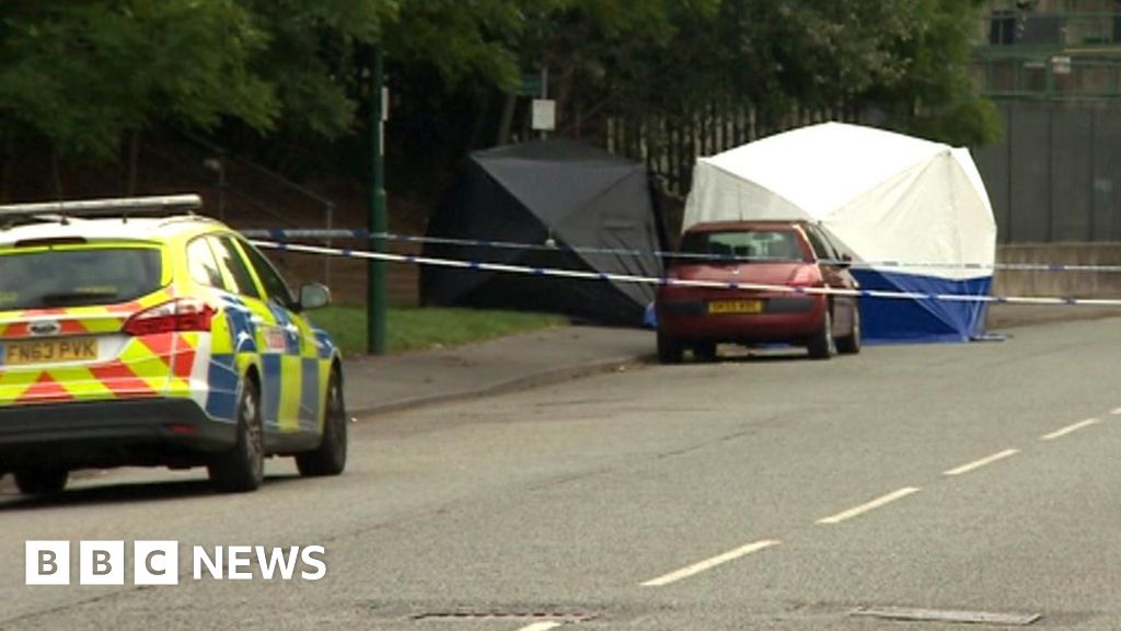 Man hurt in Nottingham woodland shooting BBC News