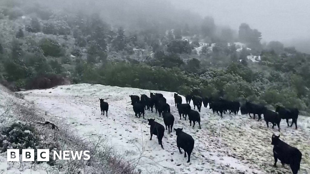 Rare snow carpets swathes of storm-hit California