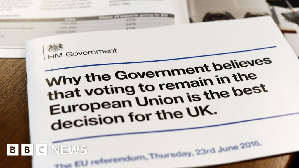 Governments £9m Pro Eu Leaflets Will Boost Out Vote Bbc News