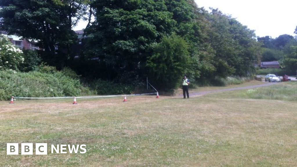 Ipswich Sherrington Road Park rape Dara Abdullah denies charges BBC News