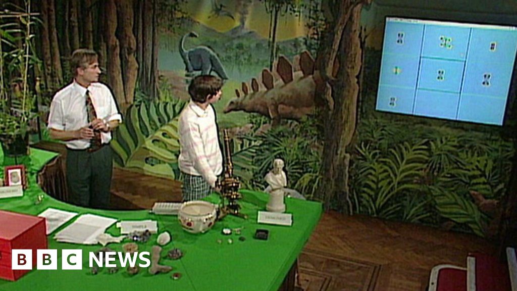 Richard Dawkins Discusses 'biomorphs' In 1991 - BBC News