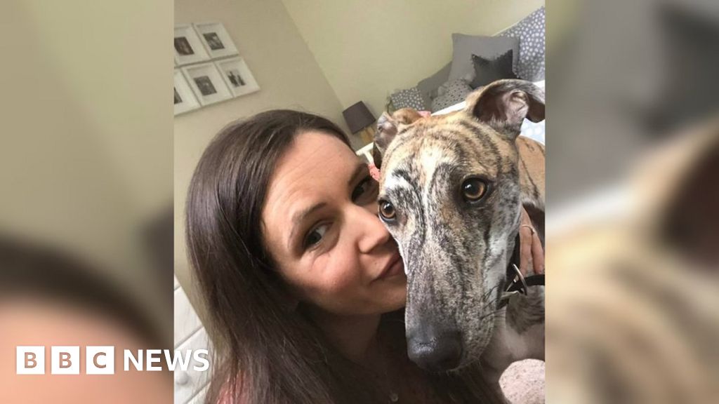 Dog escapes Addingham kennels Moor search for pet