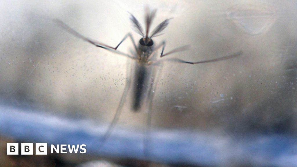 China's first Zika virus case confirmed, reports say - BBC News