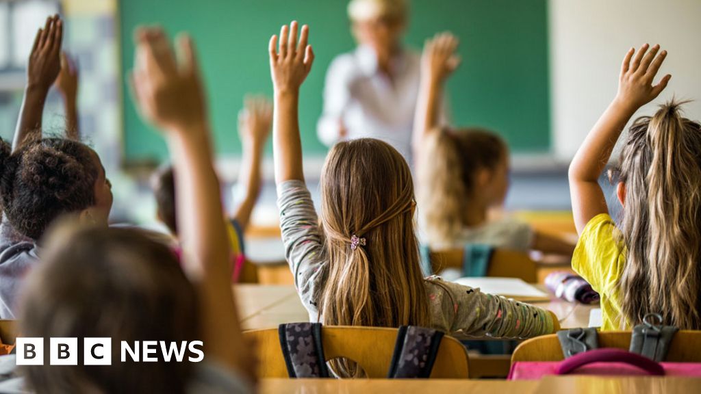 Ofsted chief not accepted for 'settled status'