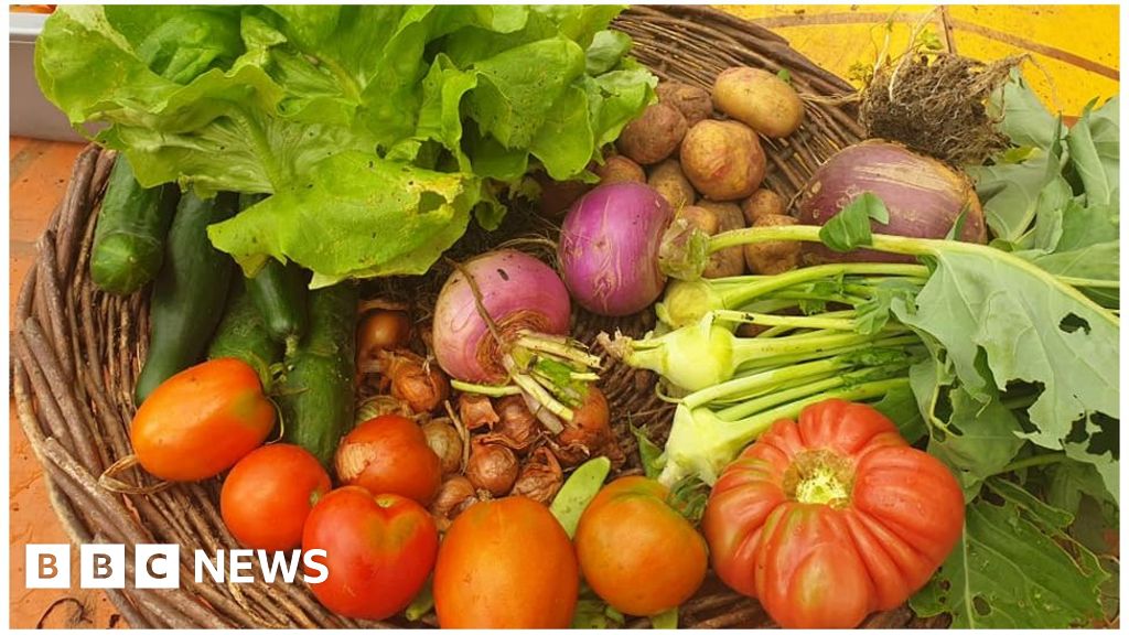 Growing food: Call to give vegetable growers public cash