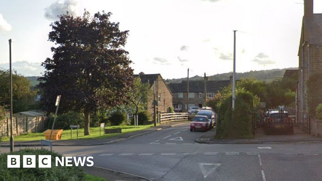 Tintwistle: Woman injured during attempted dog theft