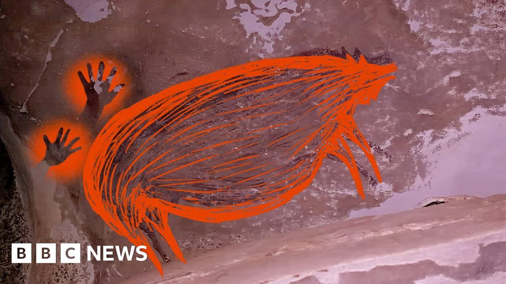 Inside the Indonesian cave where oldest animal art was found