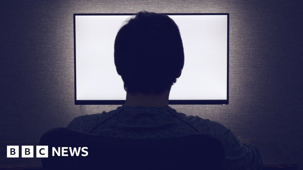 Porn Loving Us Official Spreads Malware To Government Network Bbc News