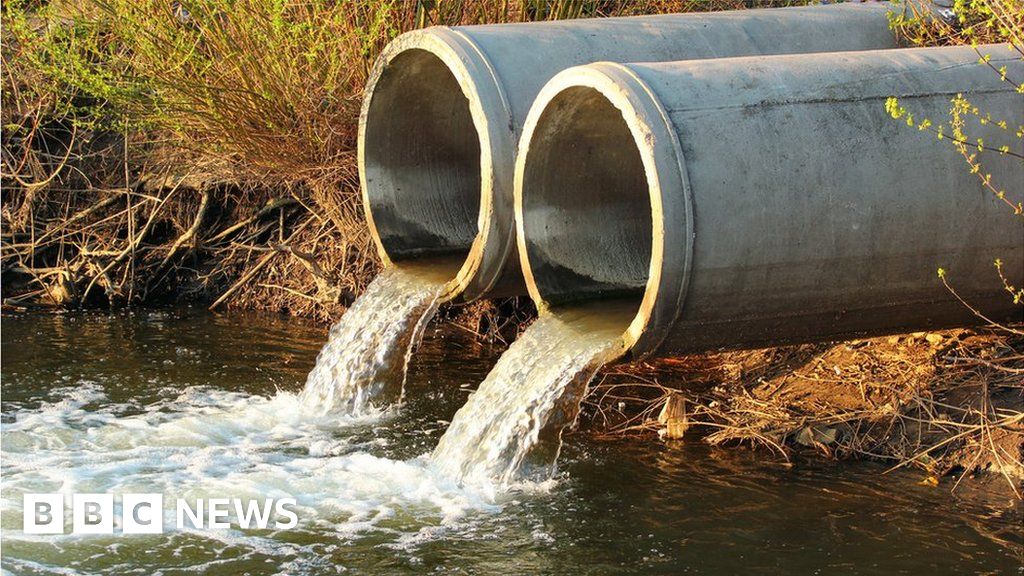 Southern Water bosses decline bonuses after sewage discharge anger