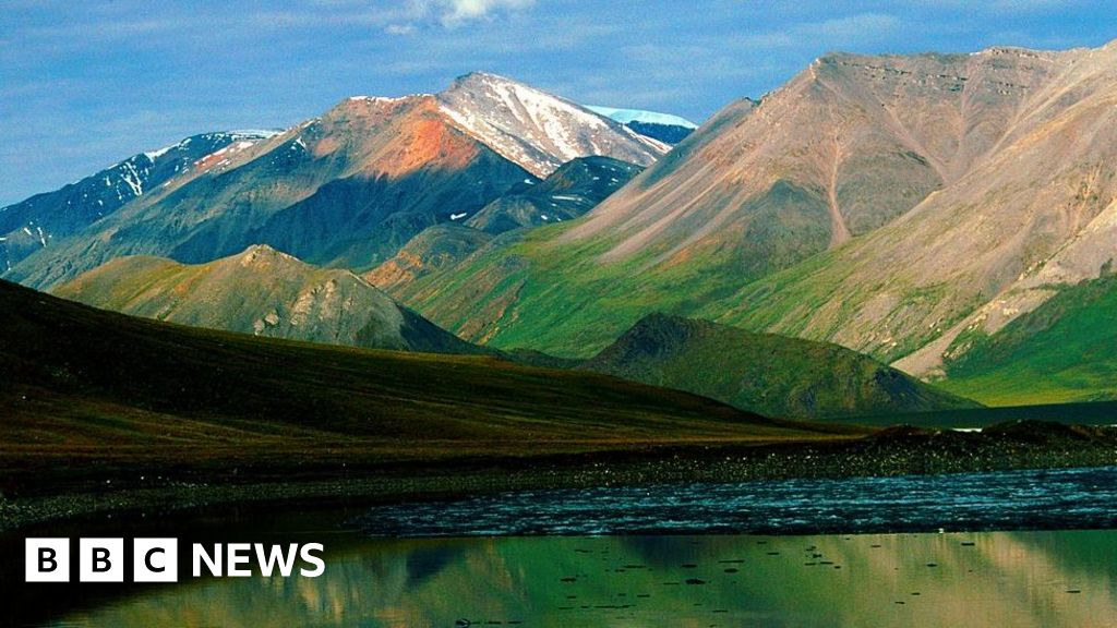 Байдън анулира договорите за наем на Тръмп за сондажи в най-големия резерват за диви животни в Аляска