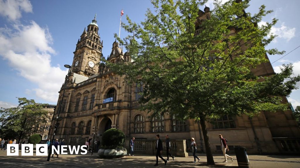 Sheffield city council referendum: What's it all about? - BBC News