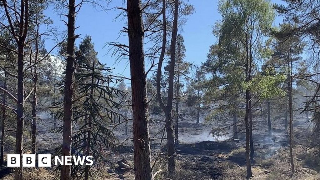 Northumberland wildfire: Kyloe Woods blaze under control 