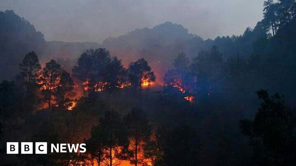 Uttarakhand Fires: Battle To Douse Deadly Blaze In Indian State - BBC News