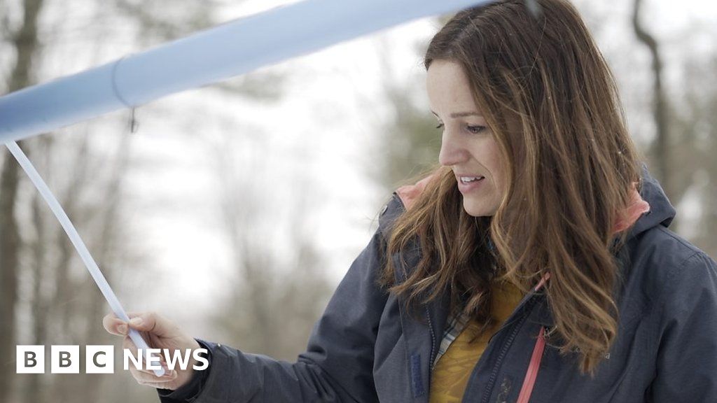 Maple syrup's bittersweet future in face of climate change