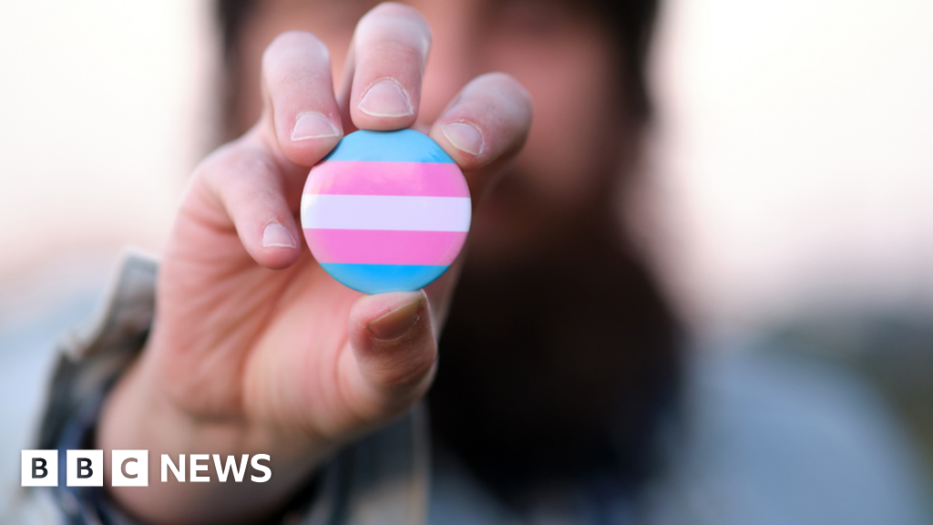 Trans women could be counted as women in Senedd elections