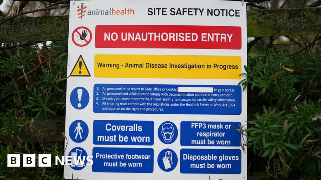 Alert After Bird Flu Found On Derbyshire Farm