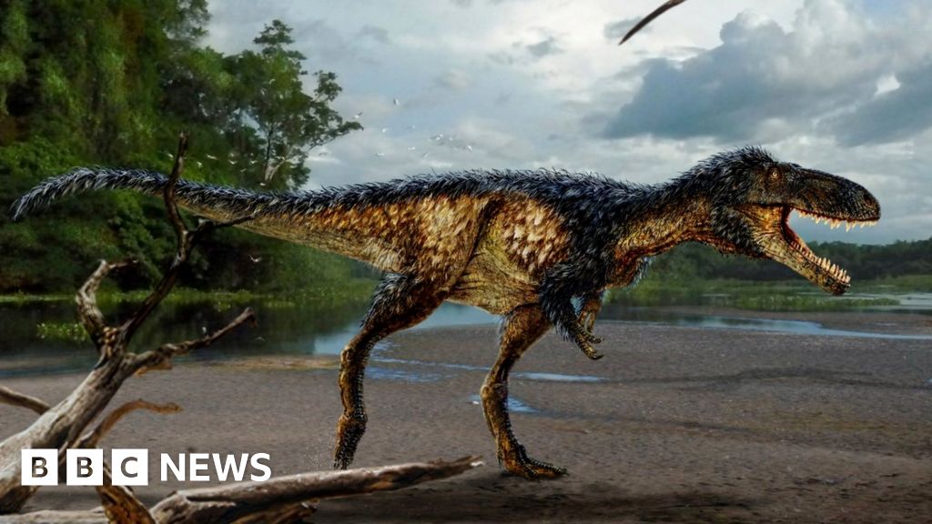 Dinosaur find resolves T. rex mystery