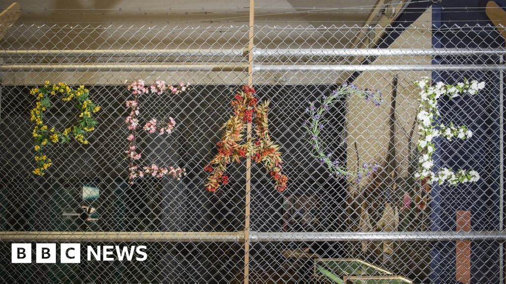 Britain's war protest images go on show - BBC News