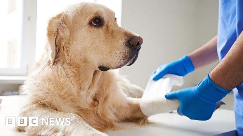 Warning pet owners overpaying for medicine