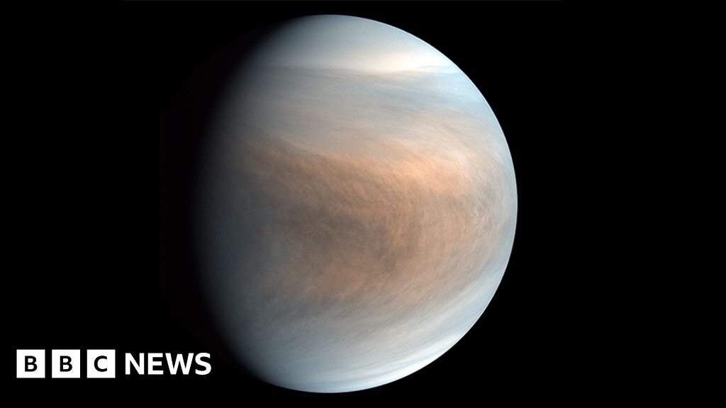 Is there life floating in the clouds of Venus?
