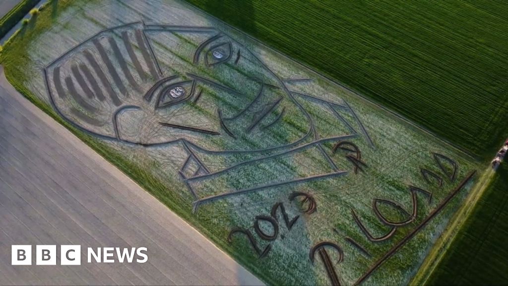 A giant sketch on the ground marks the anniversary of Picasso's death