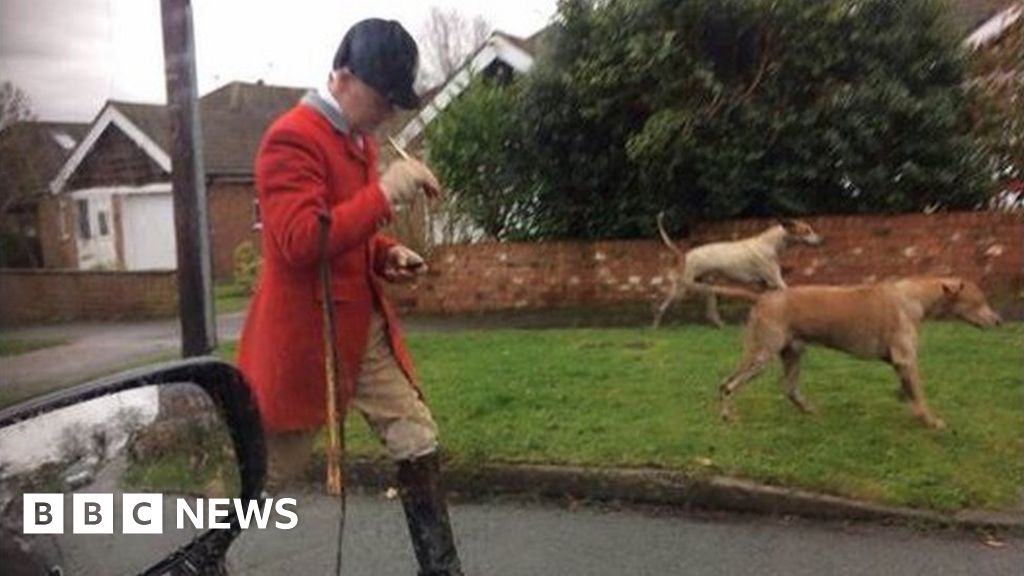 'Out of control' hunt accused of killing fox in Macclesfield garden